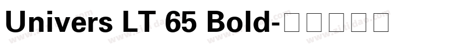 Univers LT 65 Bold字体转换